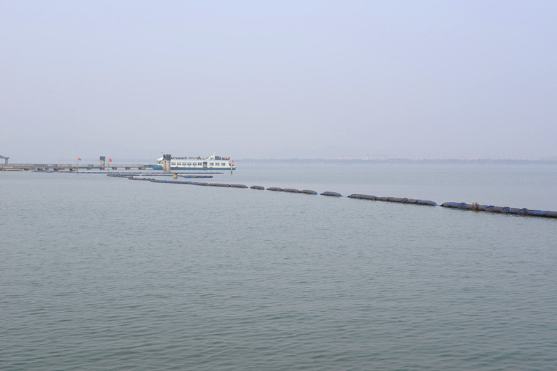 DSC_3208.JPG