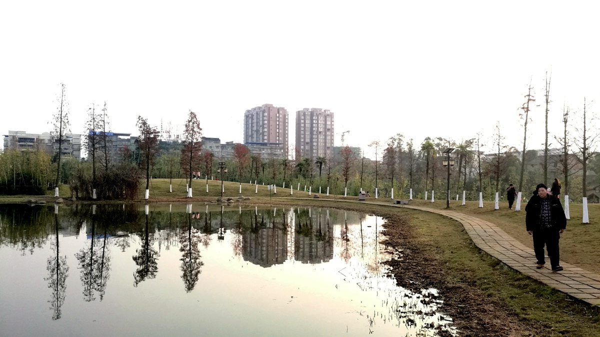 IMG_20161221_165133.jpg