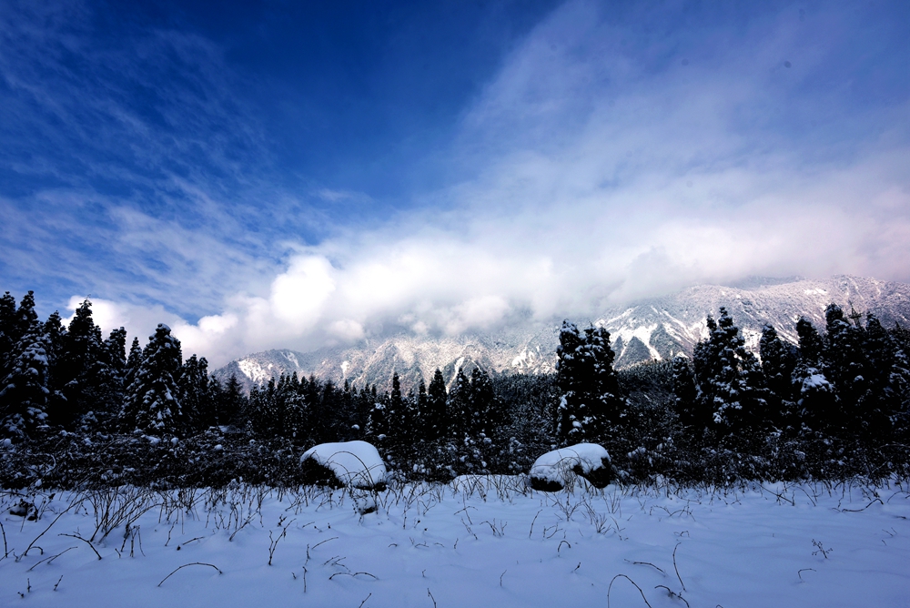 龙池雪景图片