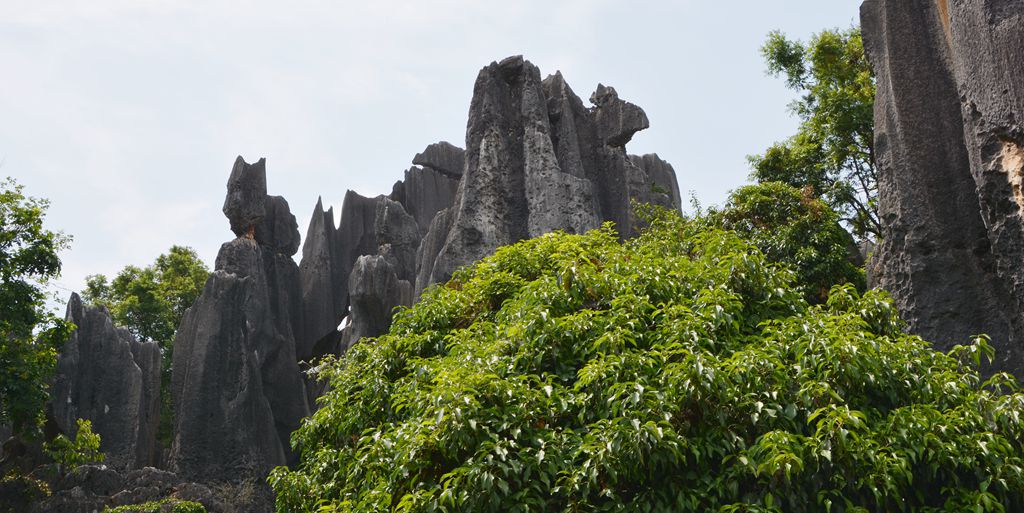 DSC_0203_.jpg