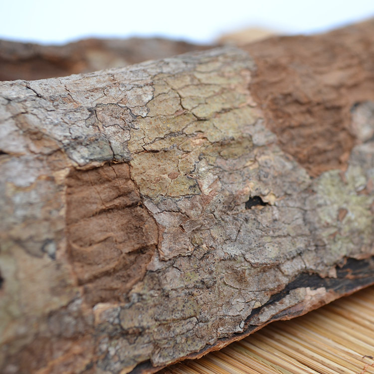 昨天拿到了传说的安哥拉树皮!太赞了,朋友们来看看(照片).