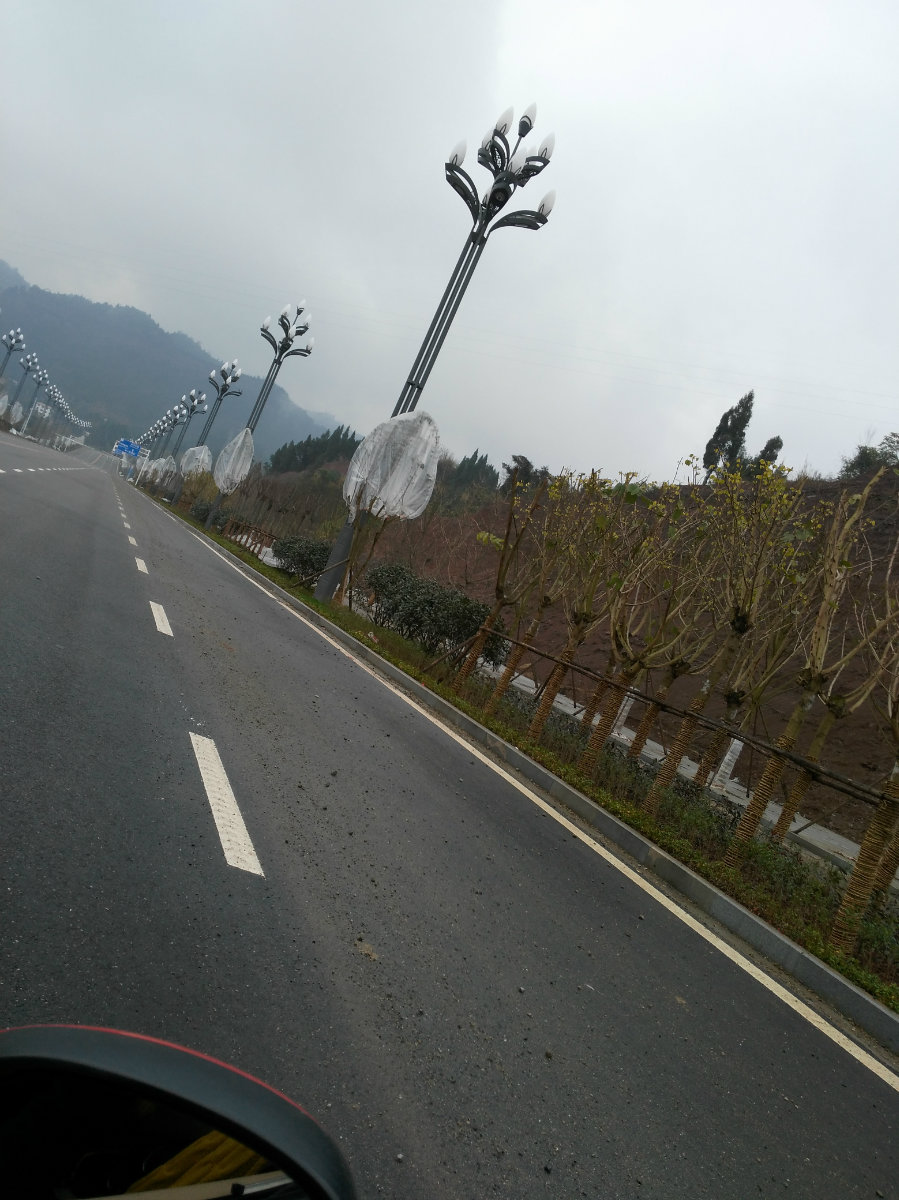 140543wwwqgiqlyqkmikl5.jpg