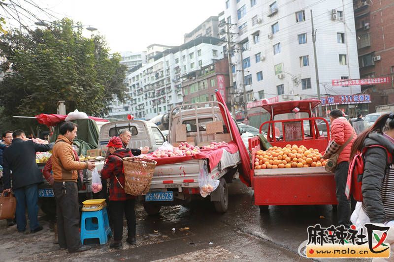 img-7cc61cdf0b9b34ea4706bcd5ddc3b18c.jpg
