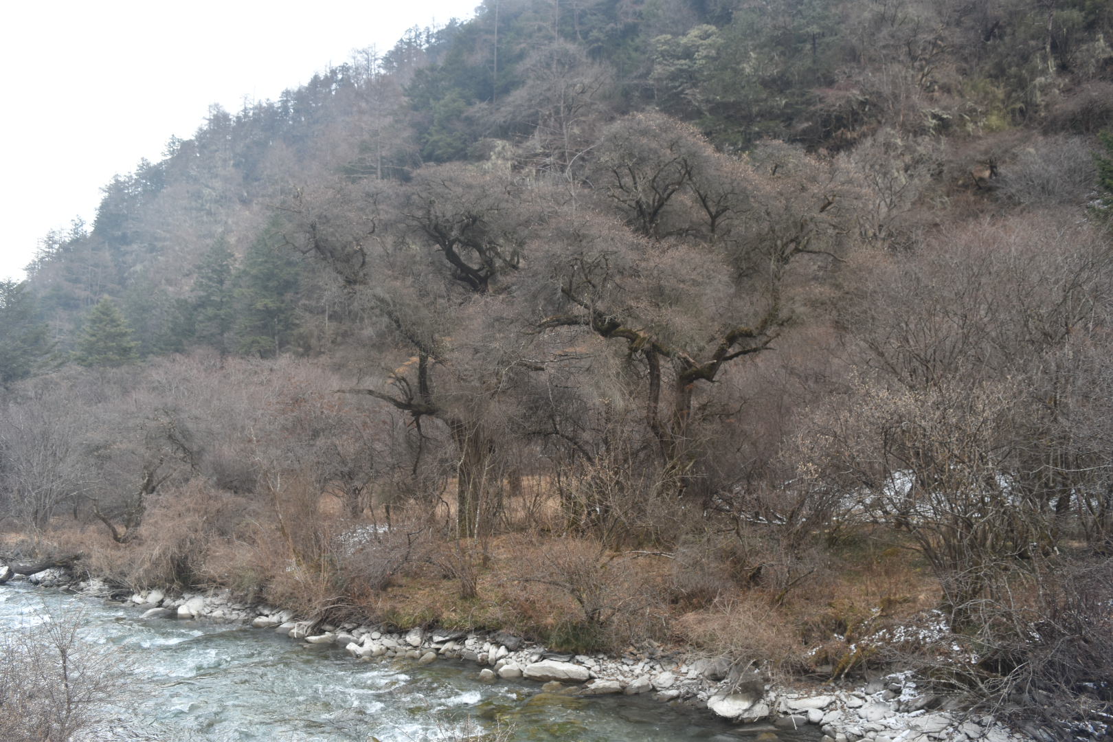 DSC_0296.JPG