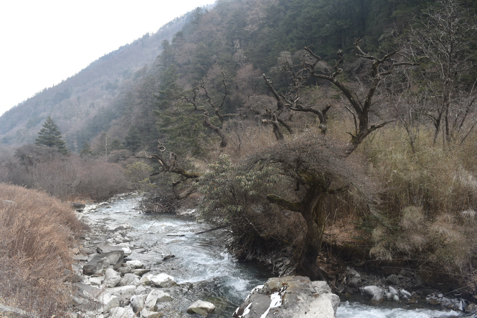 DSC_0286.JPG