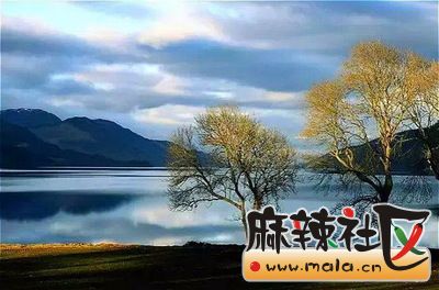 131432foxusbb055ozpnzw.jpg