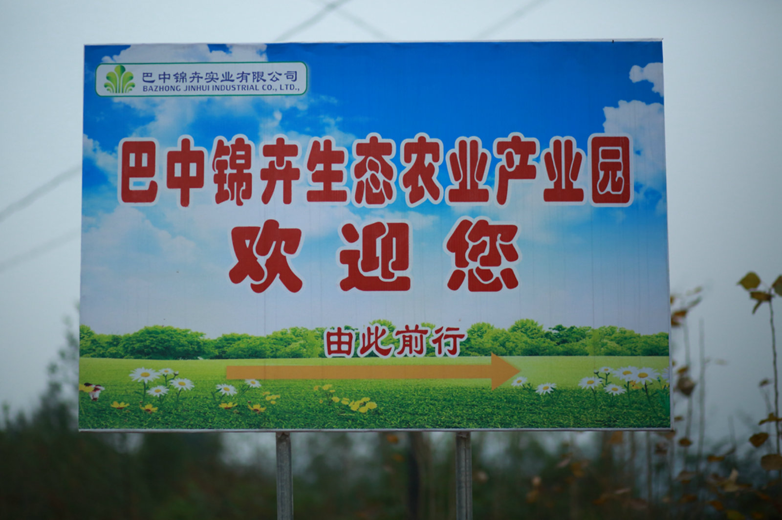 233858ezijiko3vqi8111j.jpg