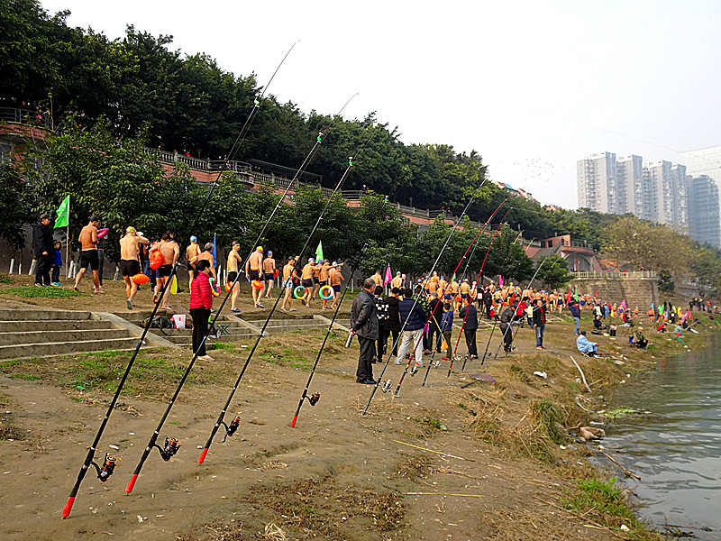 DSC02896_.jpg