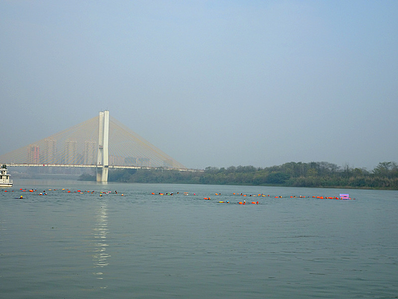DSC02908_.jpg