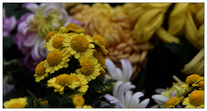 DSC_0745.jpg