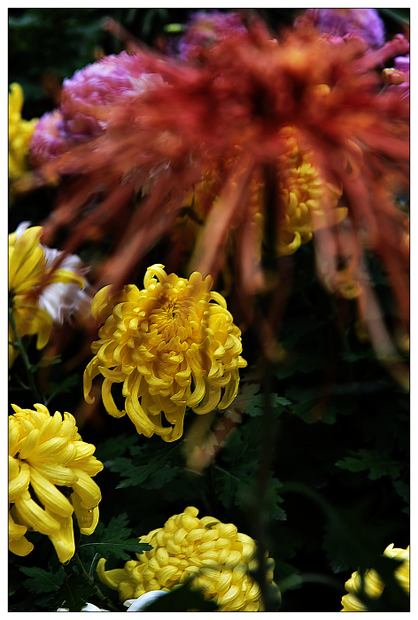 DSC_0752.jpg
