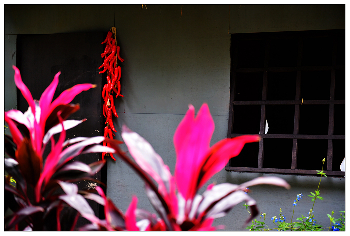 DSC_0800.jpg