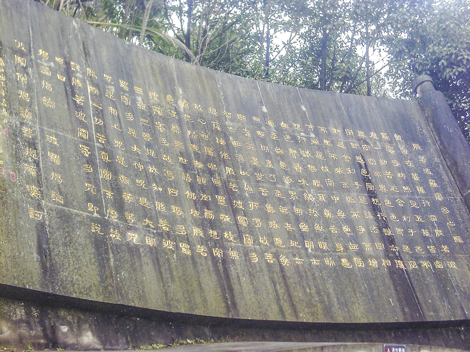 203707rm9kx7mc5x0c07xx.jpg