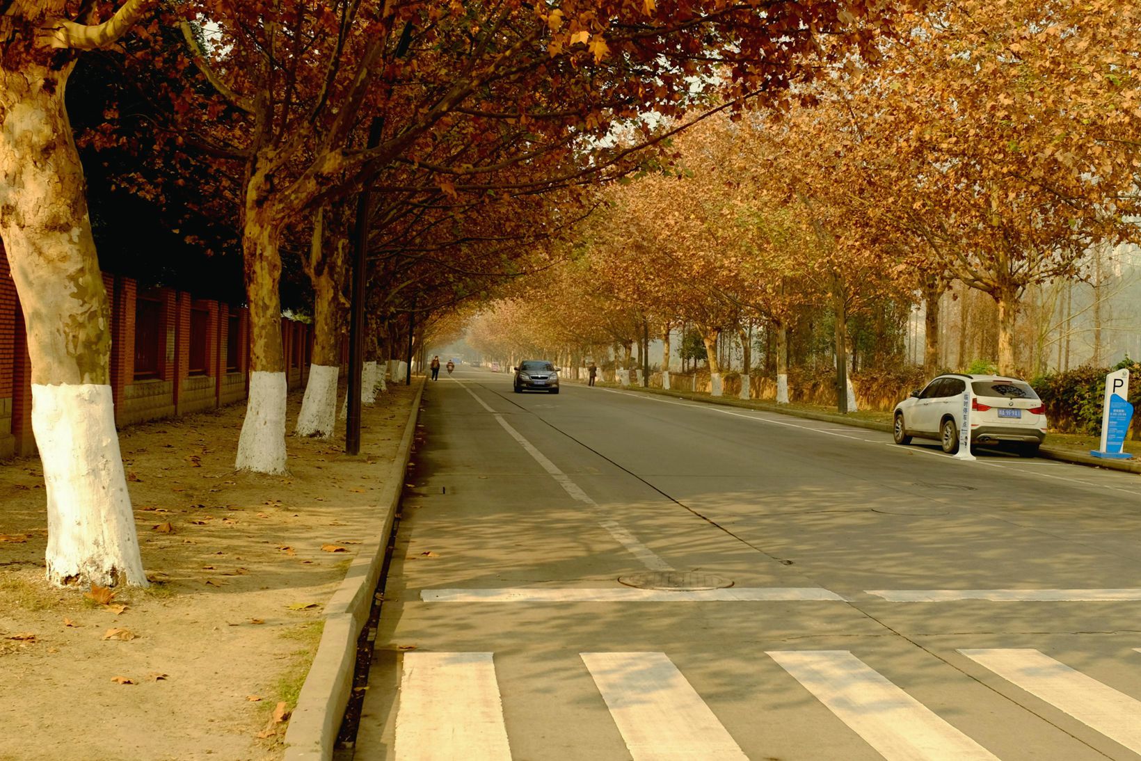Ƭ 010.jpg