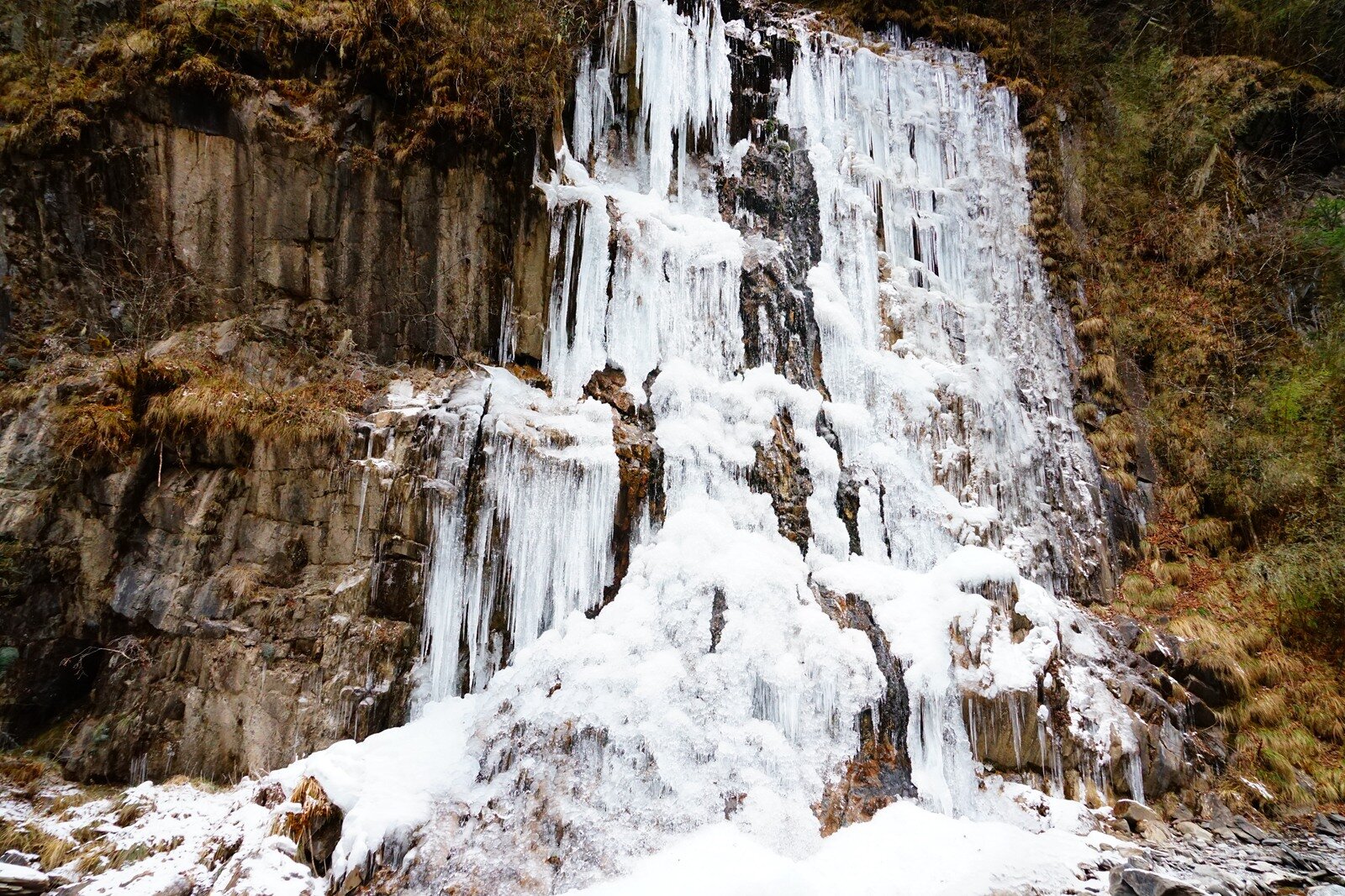 DSC04496_proc.jpg