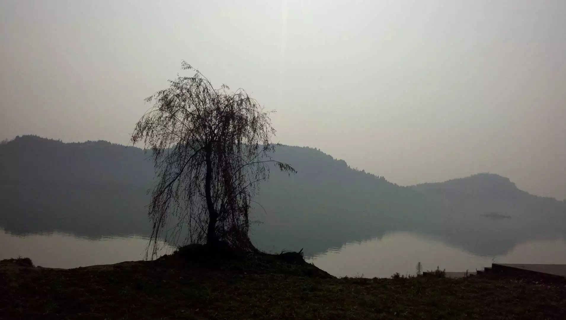 132308w9qd29yqye7wegbe.jpg