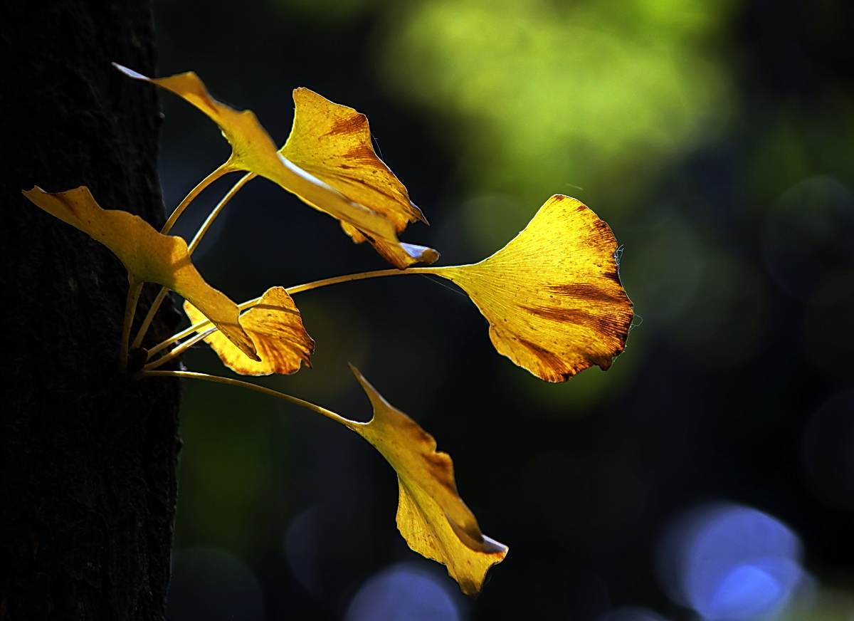 _MG_4480.JPG