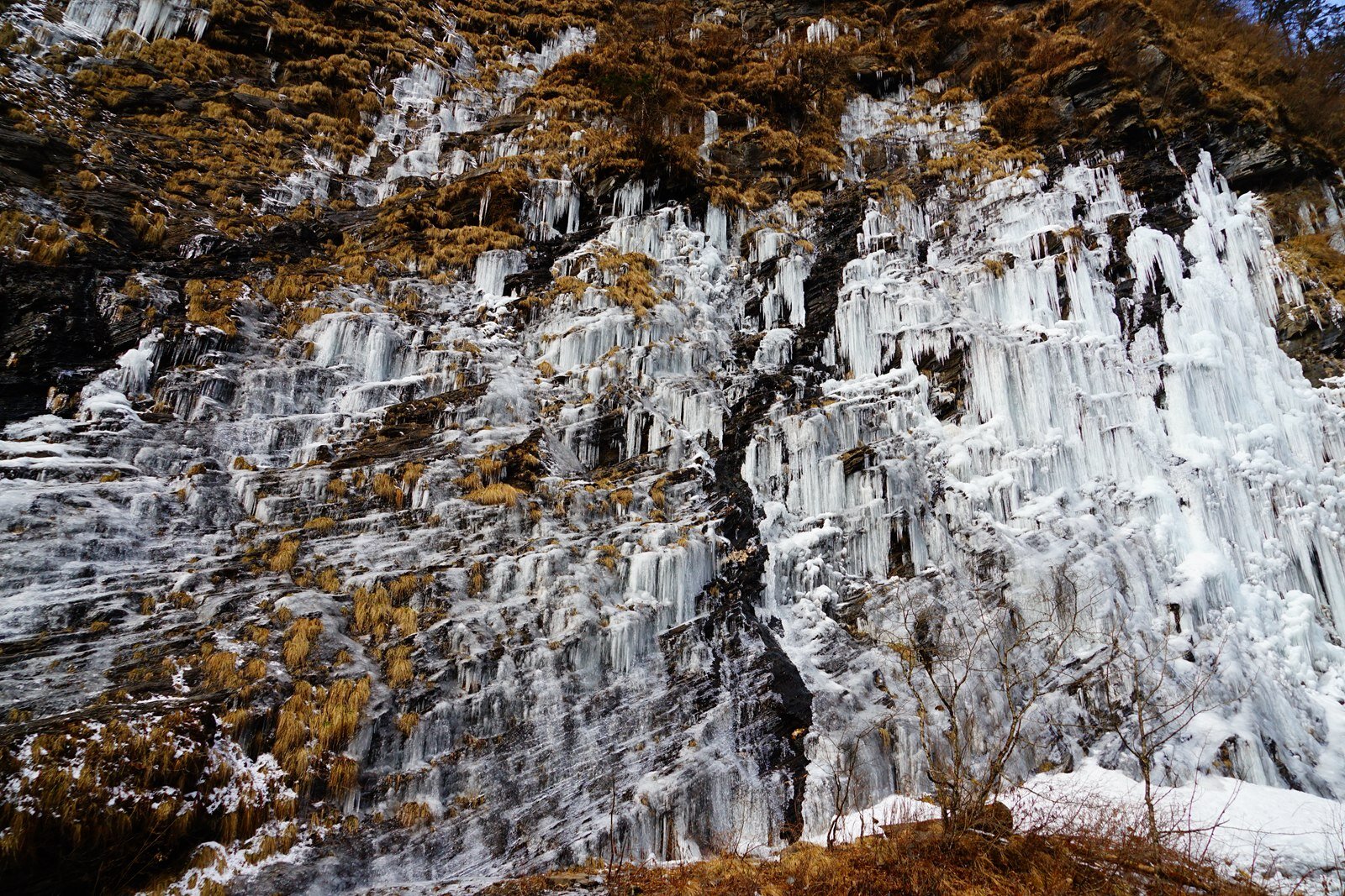 DSC04634_proc.jpg