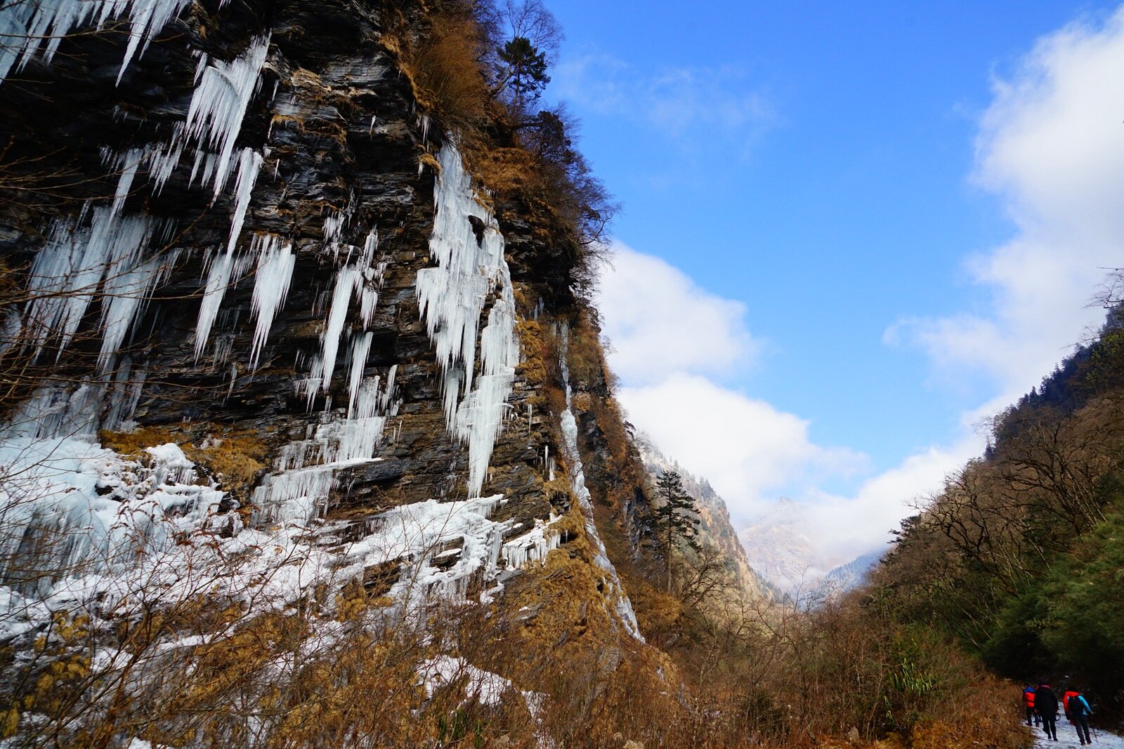 DSC04654_proc.jpg