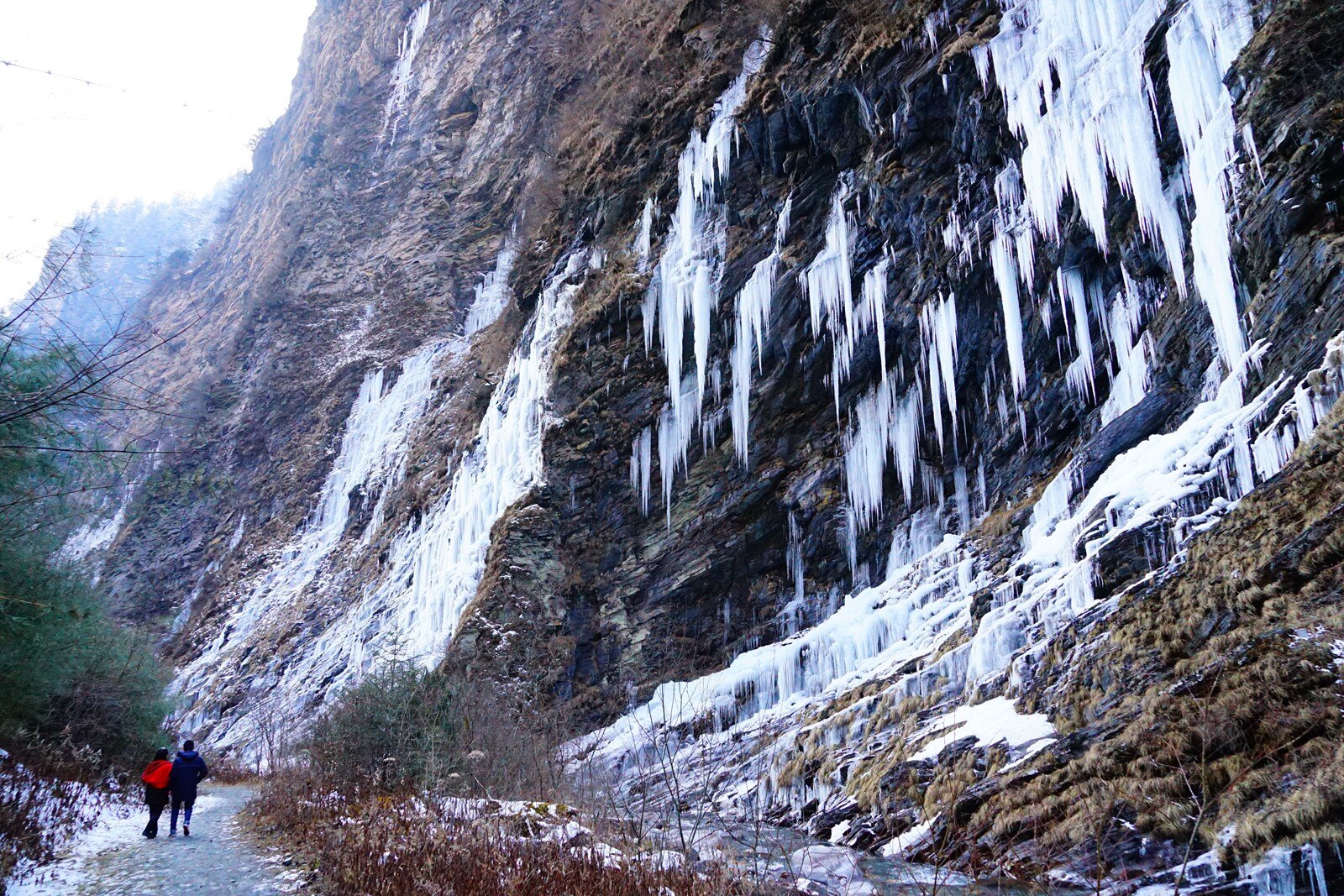 DSC04791_proc.jpg