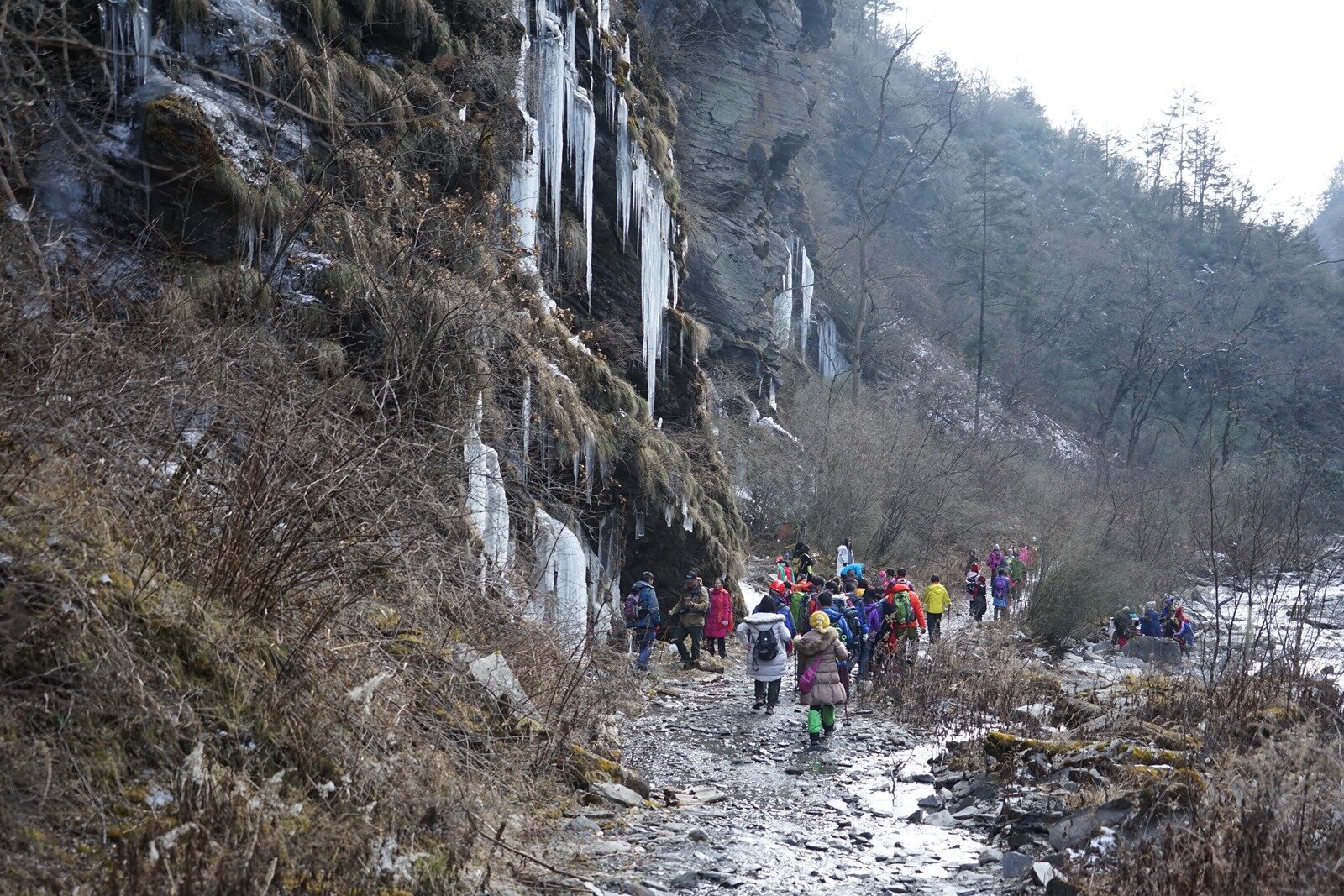 DSC04843_proc.jpg