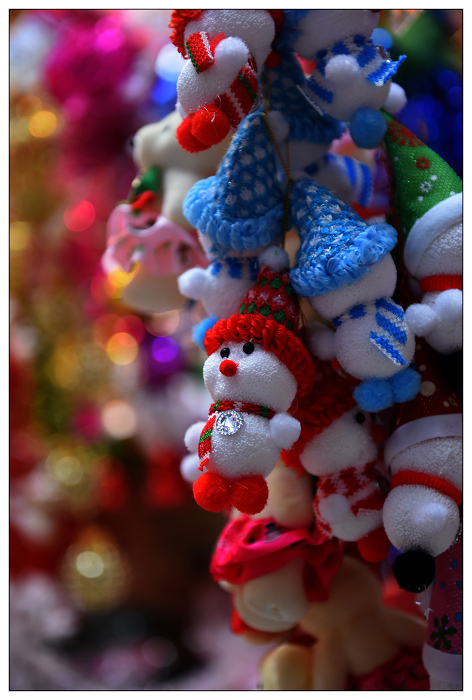 DSC_3668.jpg