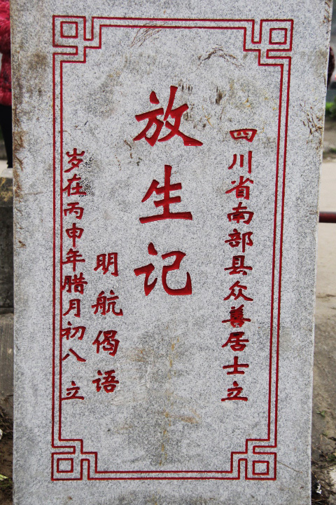 111043tfkk912n8oy9ou1y.jpg