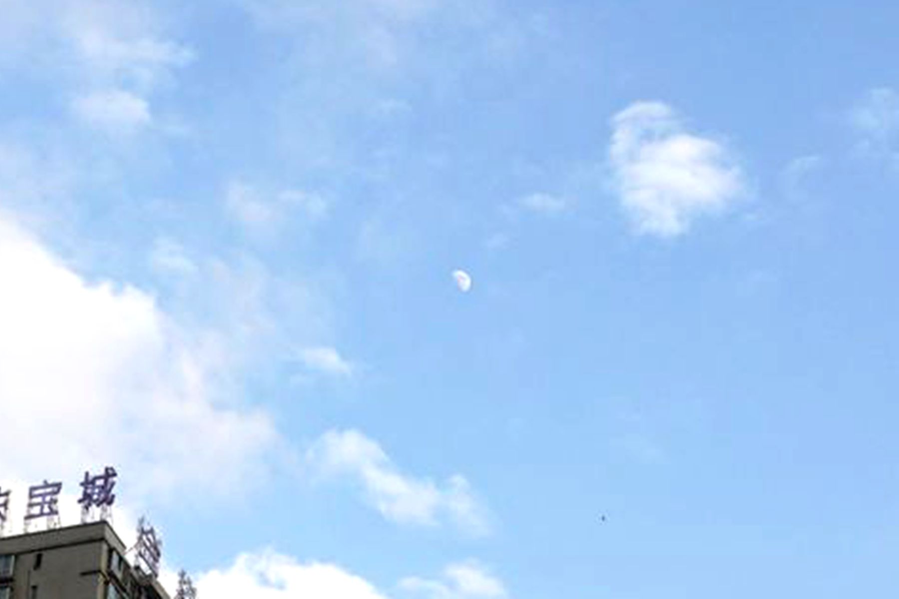 DSC04198_.jpg