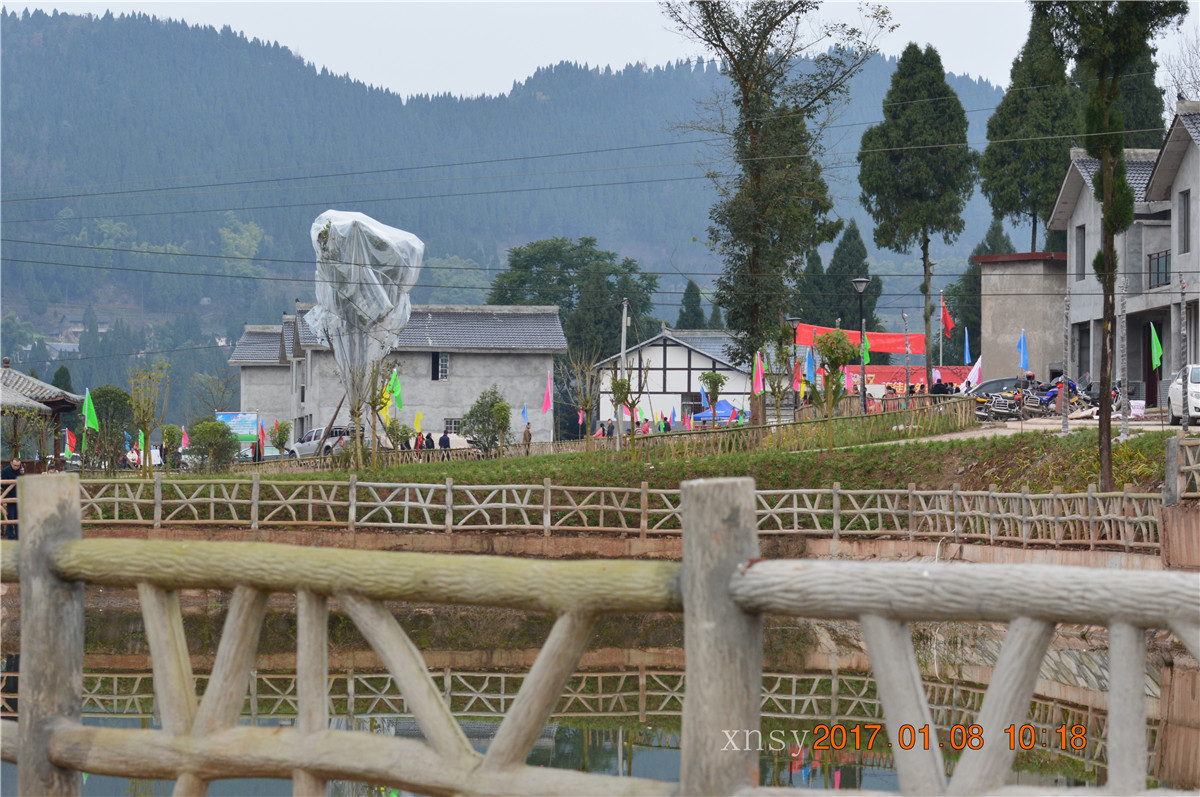 DSC_0015.JPG