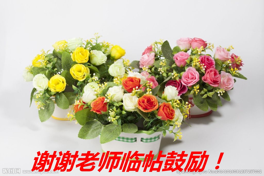 171734b638nui350q5i6oh.jpg
