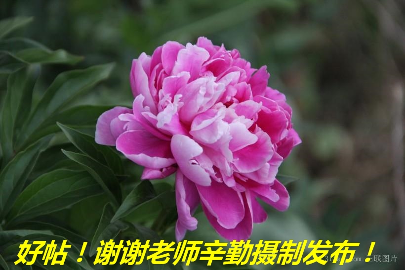 180518y8fefe9bibn0r1iw.jpg