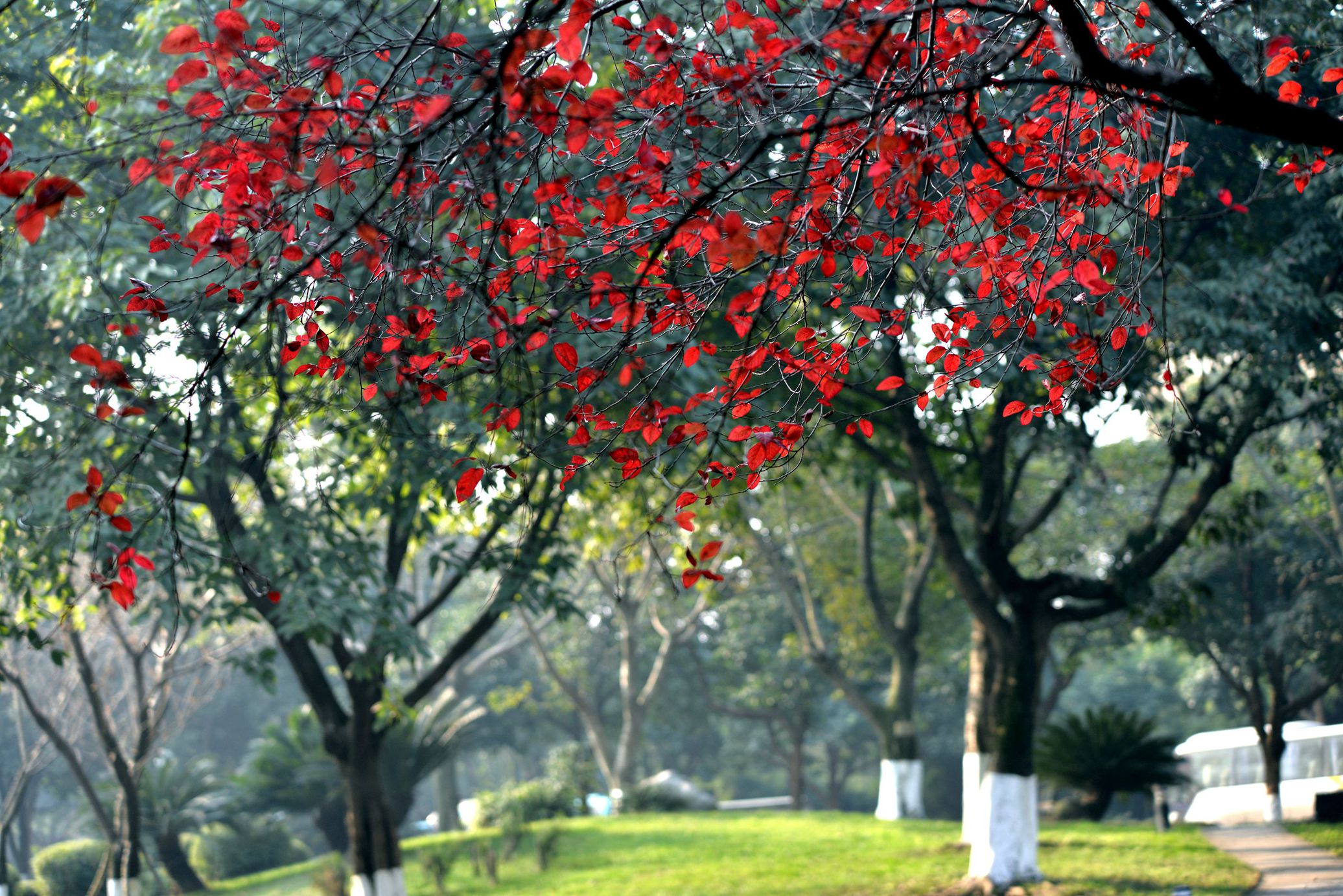 Ƭ 088.jpg