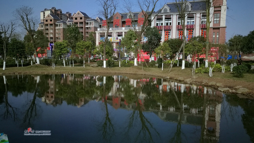 IMG_20161226_140408.jpg