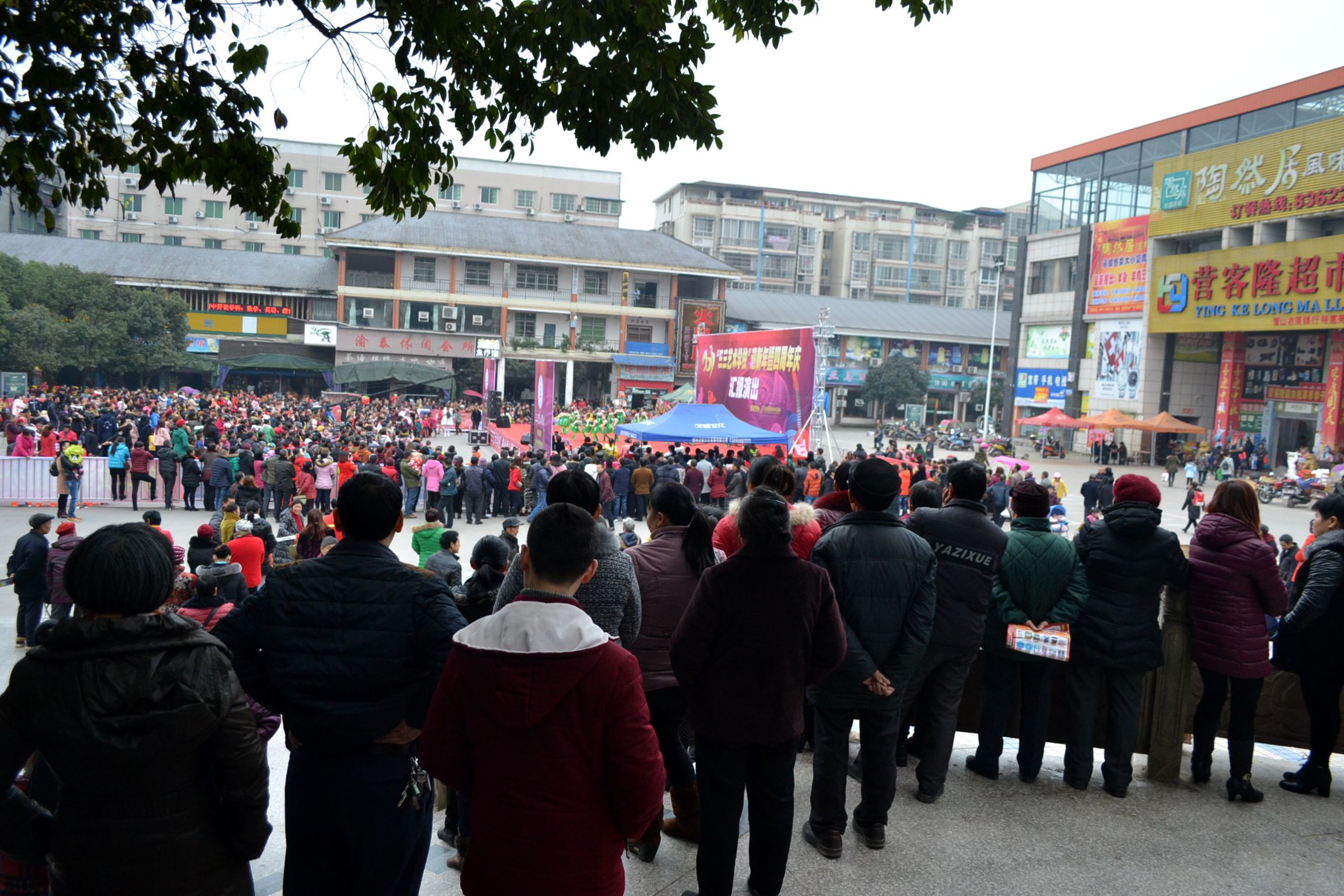 DSC_0932.JPG