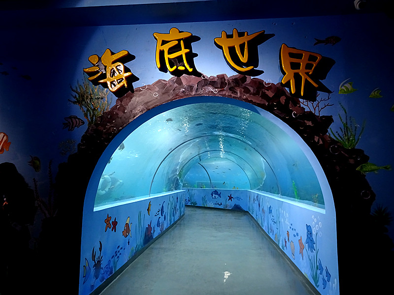 南充市嘉陵区儿童公园海洋世界让我们内地人看到了神奇的海底世界