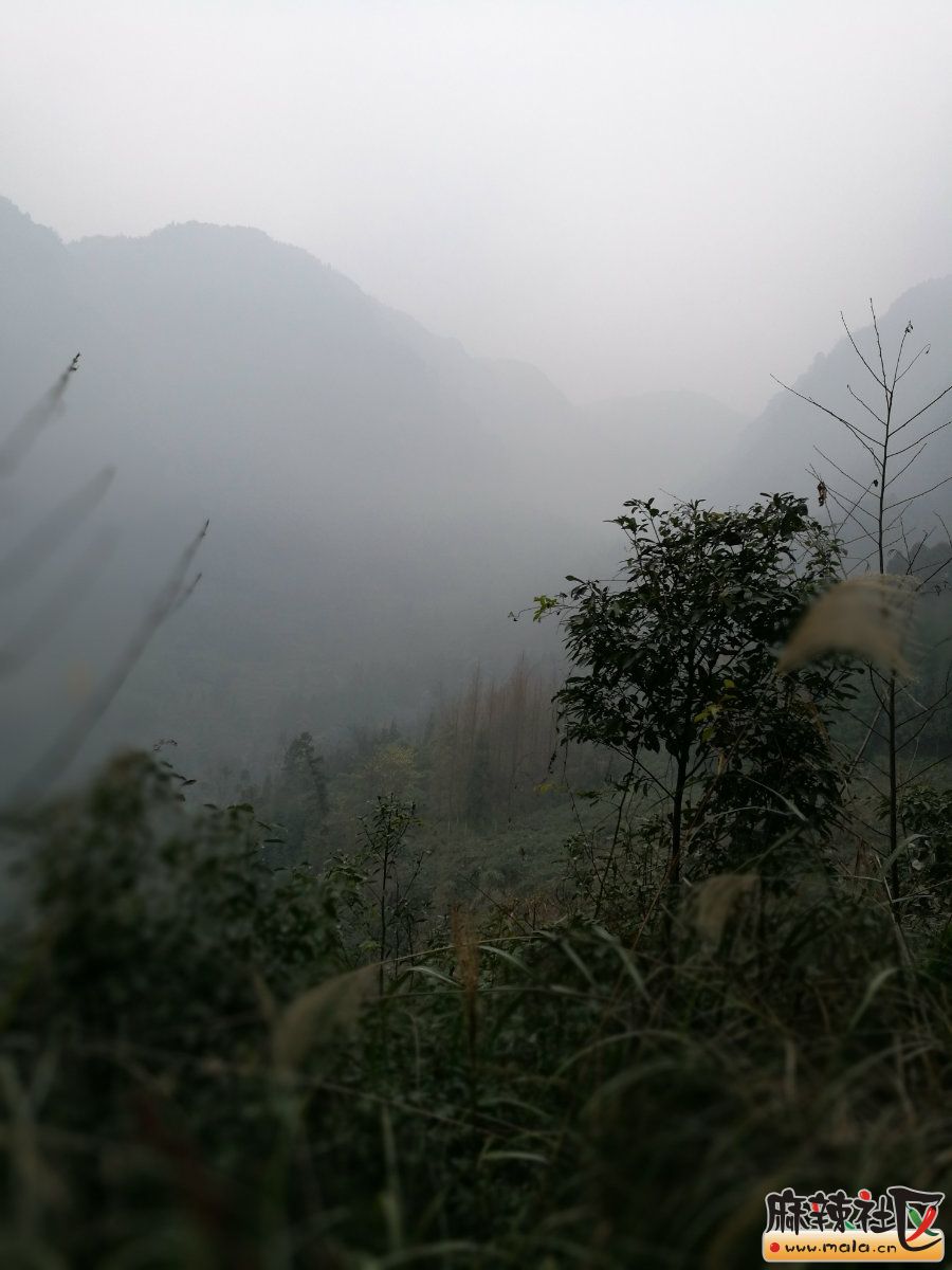 011614htcmt2m62cce2lm0.jpg
