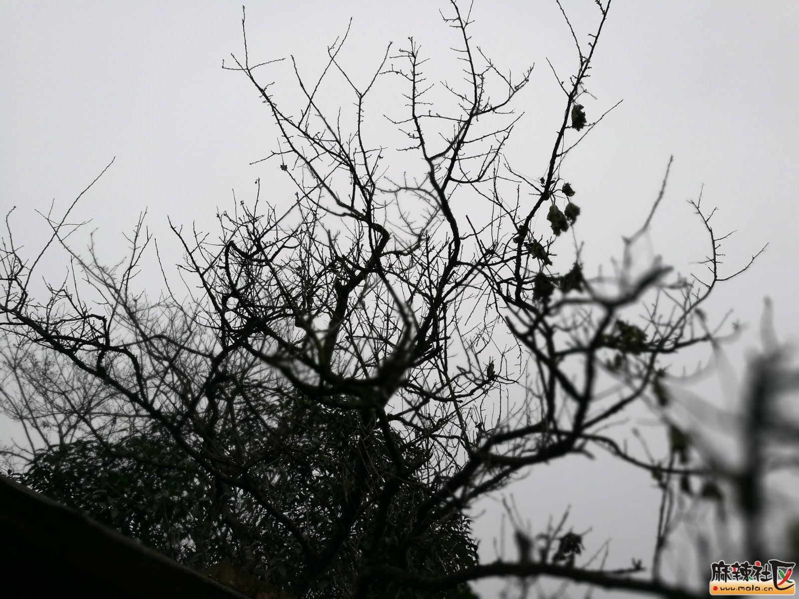 路过,才知道缘深缘浅