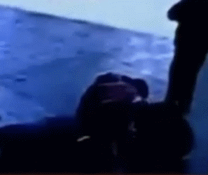 2.gif