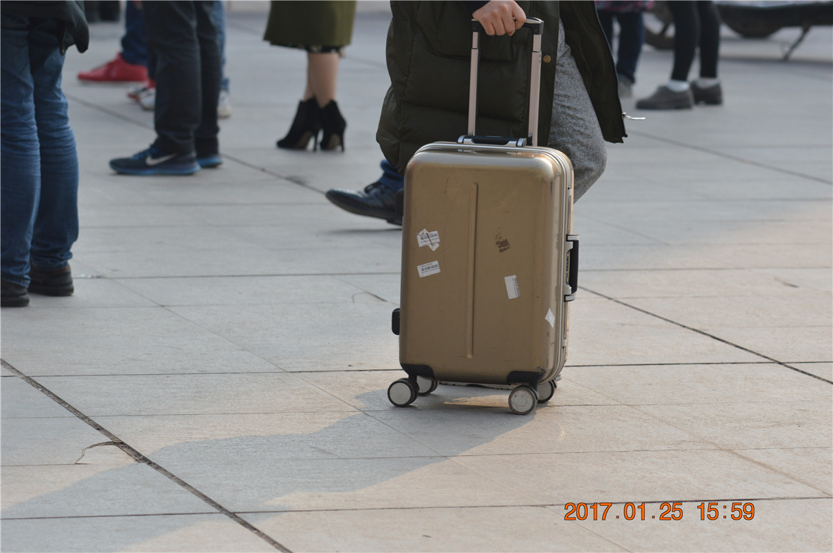 DSC_0101.JPG