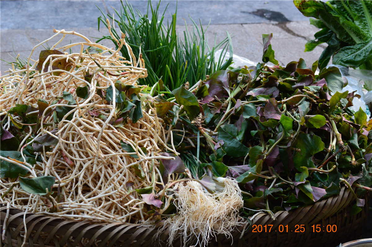DSC_0065.JPG