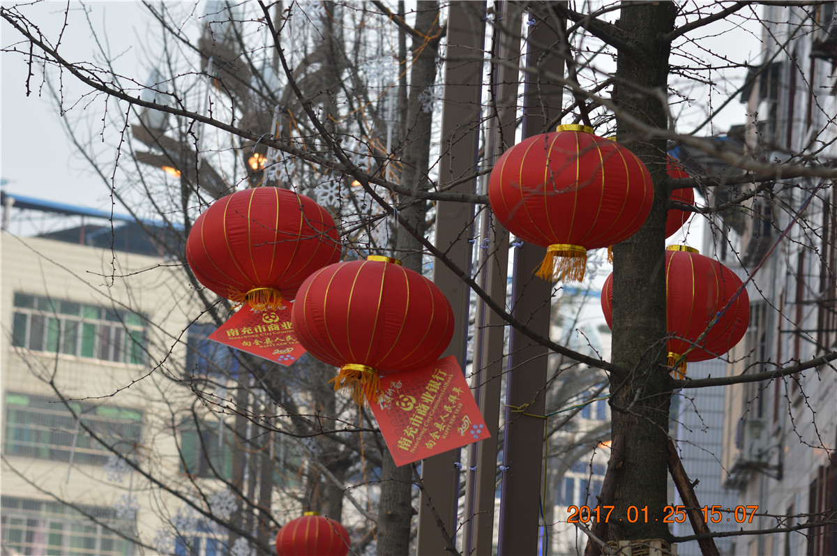 DSC_0068.JPG