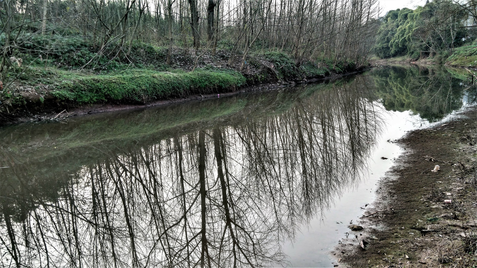 200650rij333eocionbbiw.jpg
