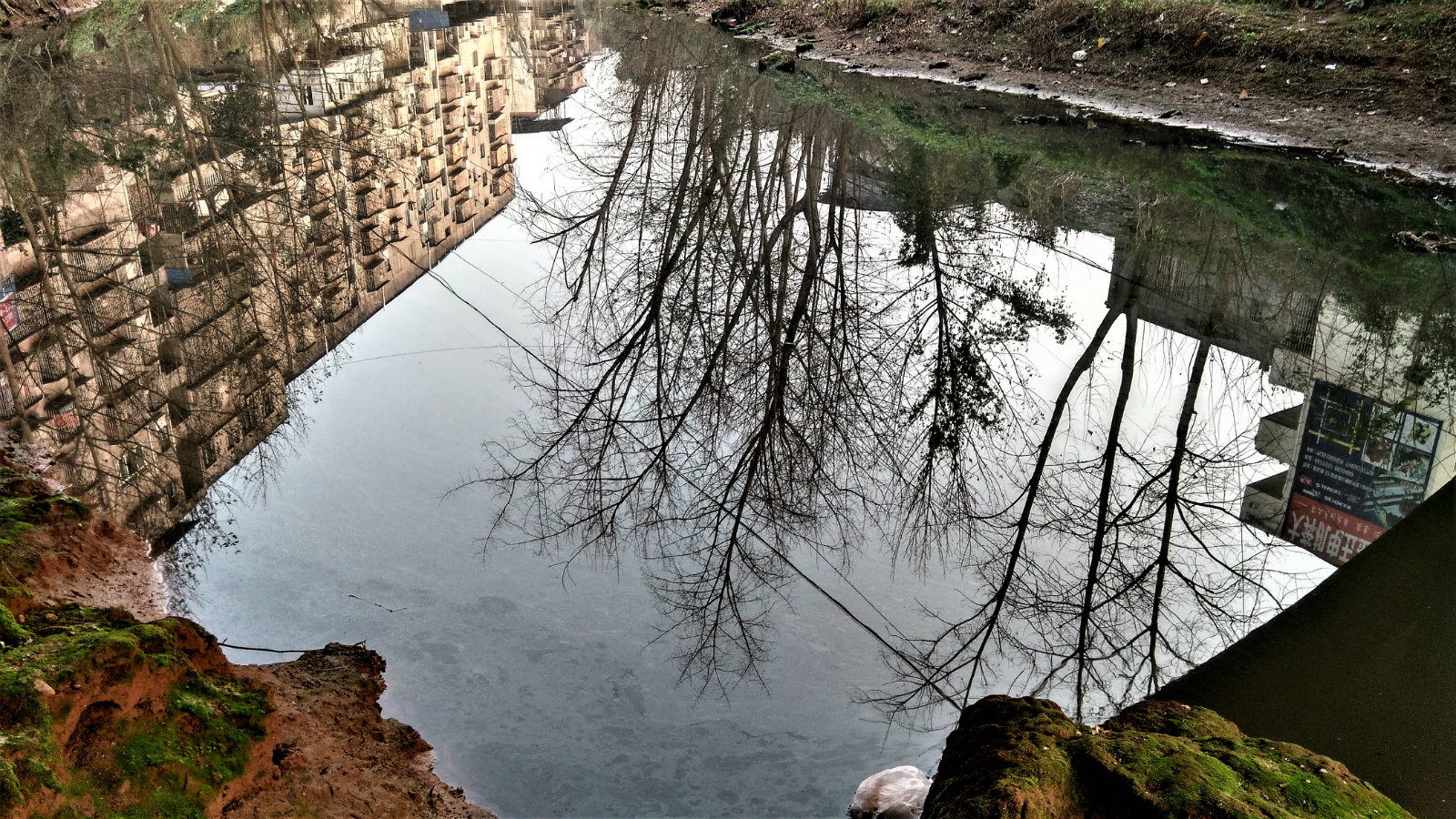 200718pyudu1lhumf0u1au.jpg