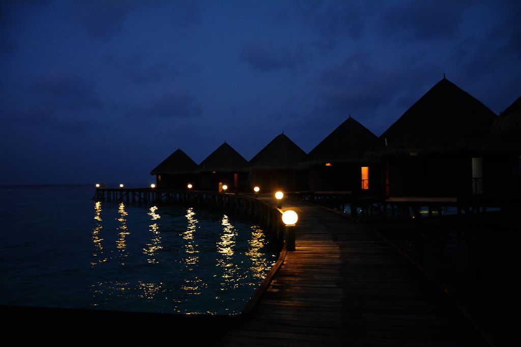 DSC_0252_.jpg