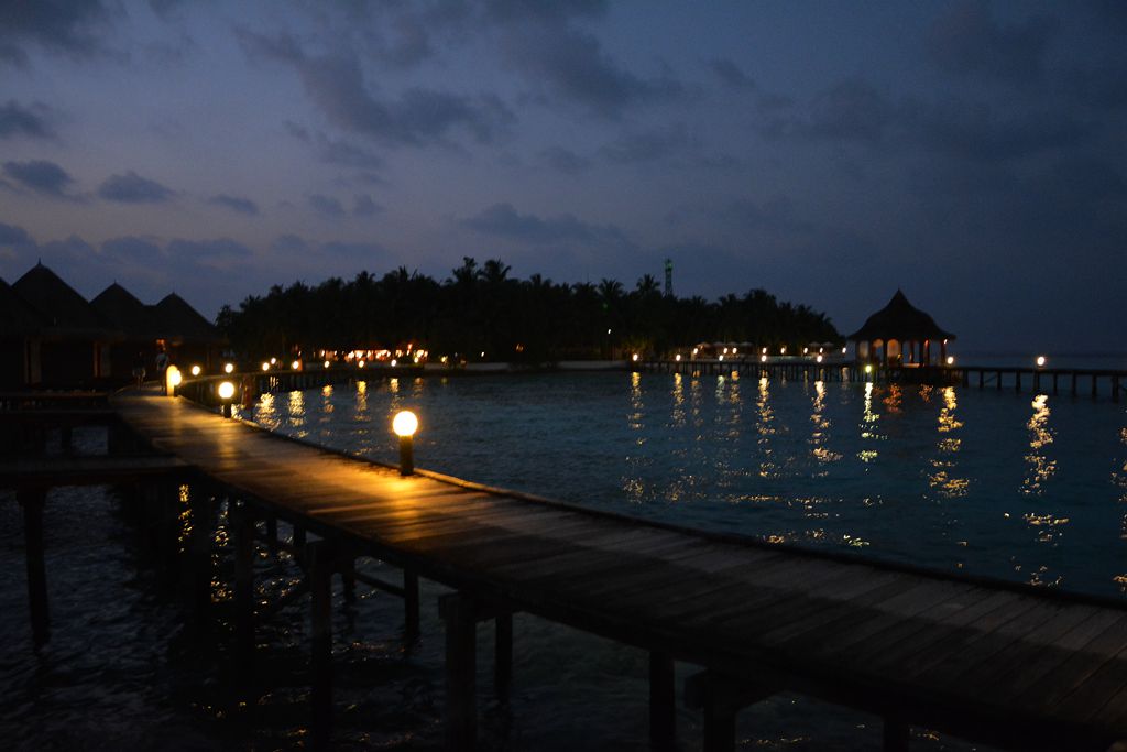 DSC_0262_.jpg