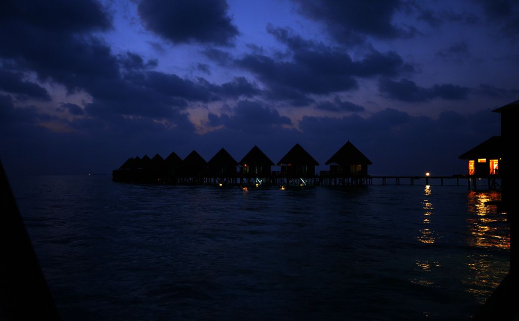 DSC_0271_.jpg