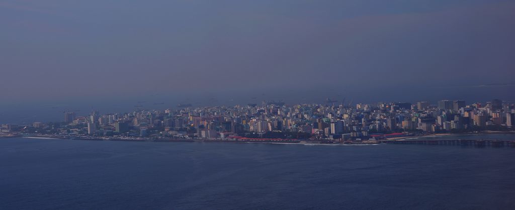DSC_0629_.jpg