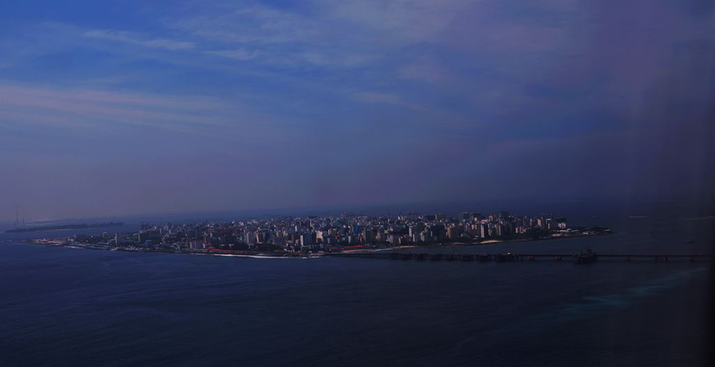 DSC_0631_.jpg