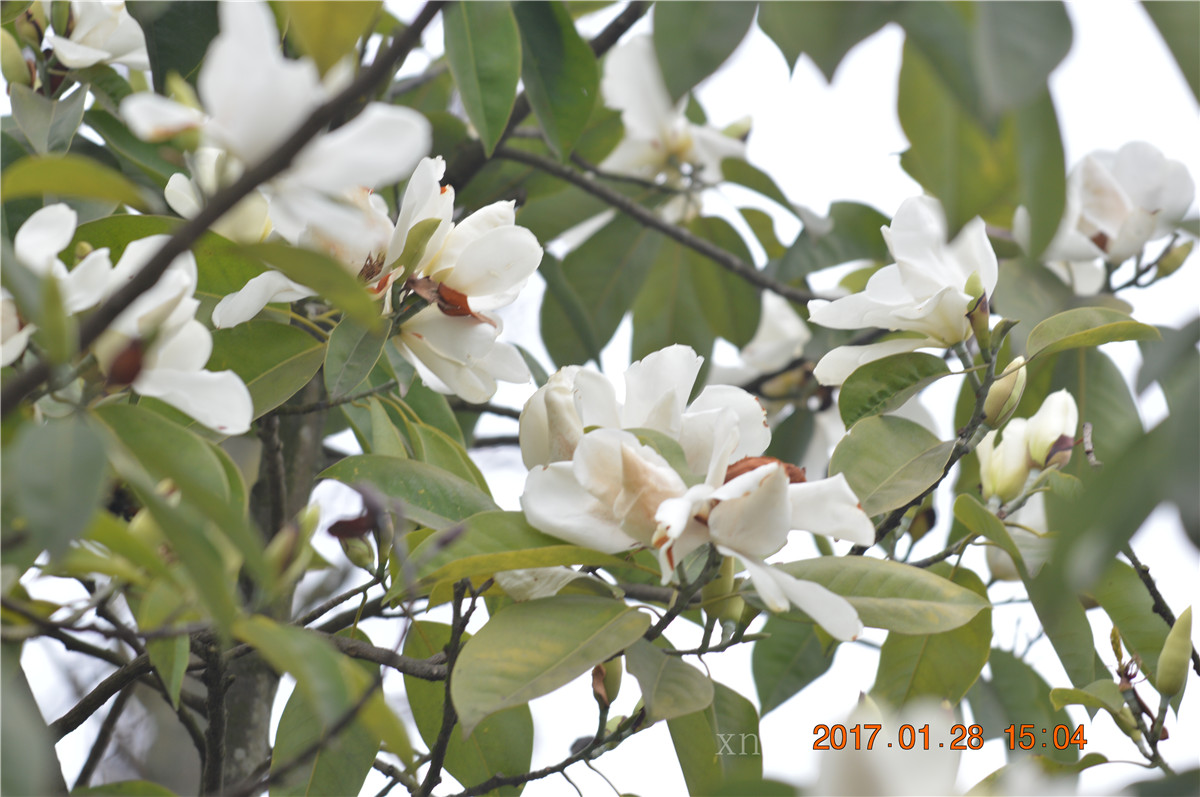 DSC_0164.JPG