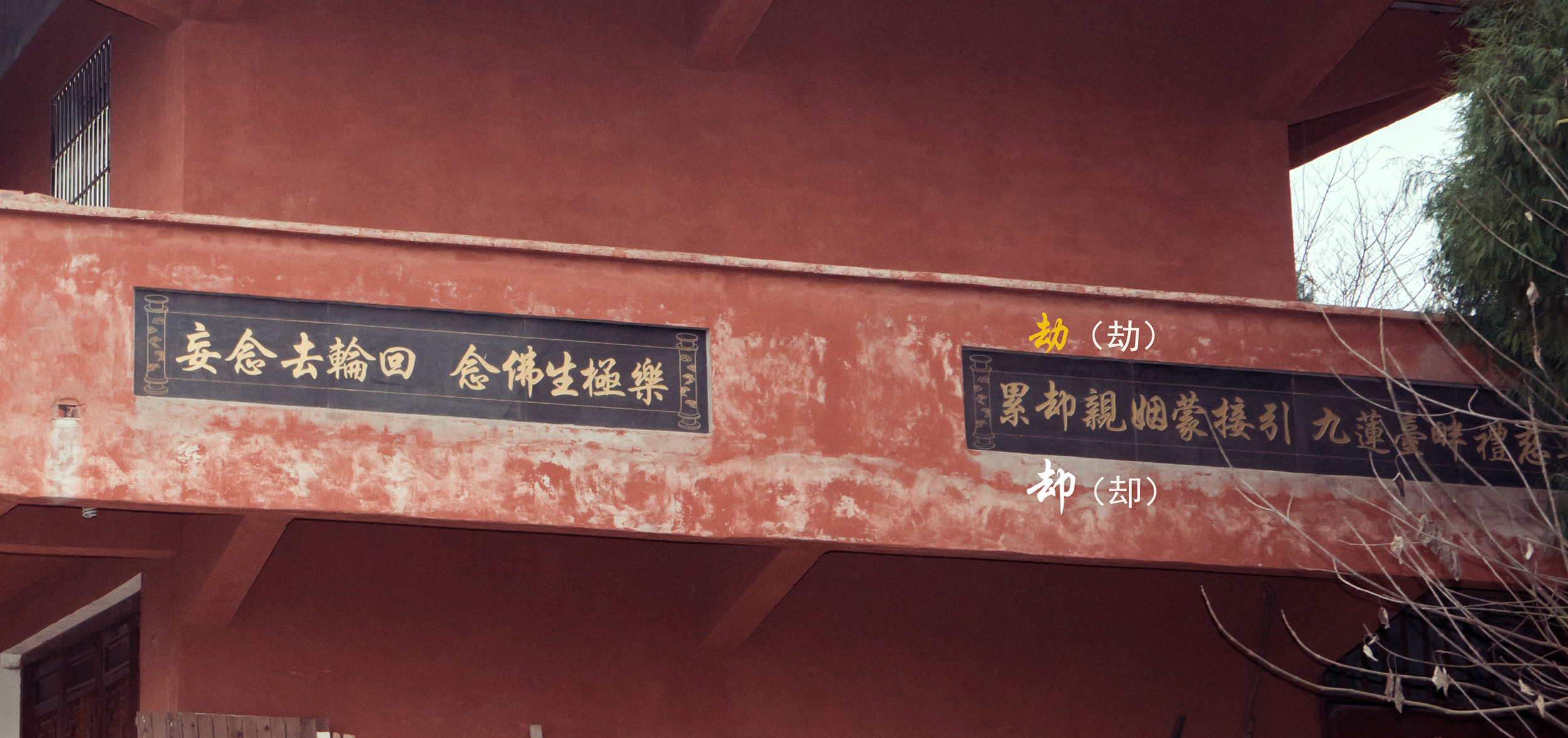 DSC09430.jpg